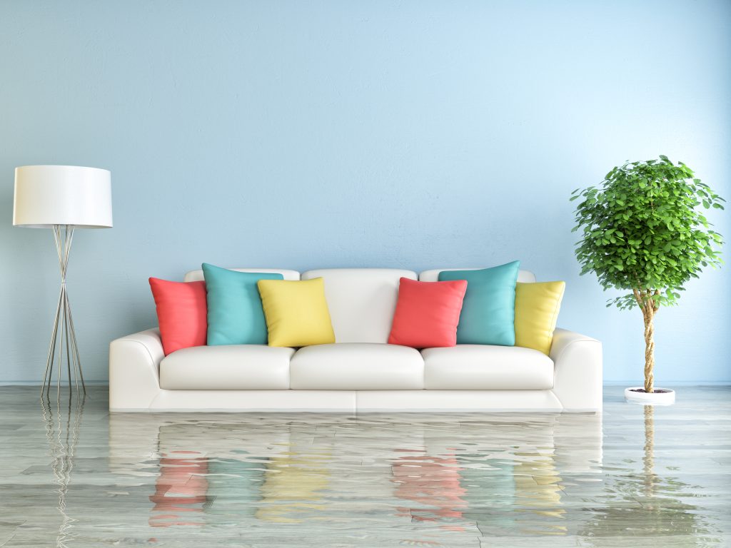 Freshly cleaned and dried carpet in a living room following professional water damage restoration.