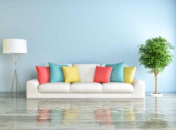 Freshly cleaned and dried carpet in a living room following professional water damage restoration.