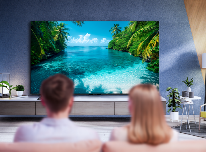 SANSUI TV