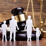 Family Lawyer