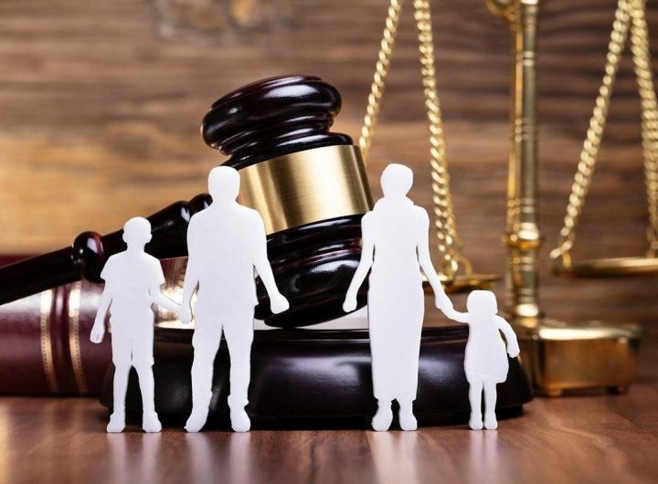 Family Lawyer