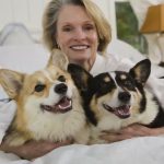 A good dog treat should be healthy and easily digestible, with no chemical additives