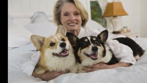 A good dog treat should be healthy and easily digestible, with no chemical additives