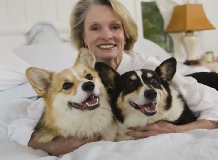 A good dog treat should be healthy and easily digestible, with no chemical additives