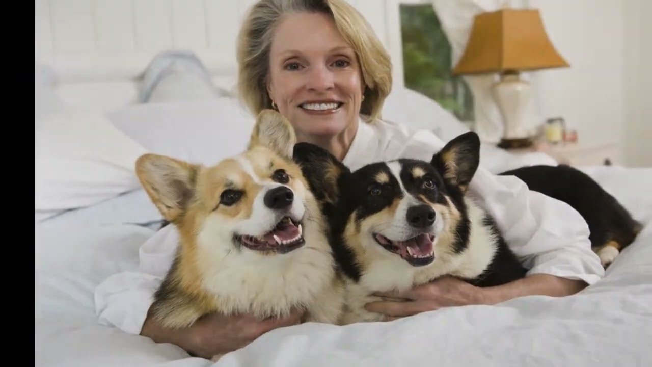 A good dog treat should be healthy and easily digestible, with no chemical additives